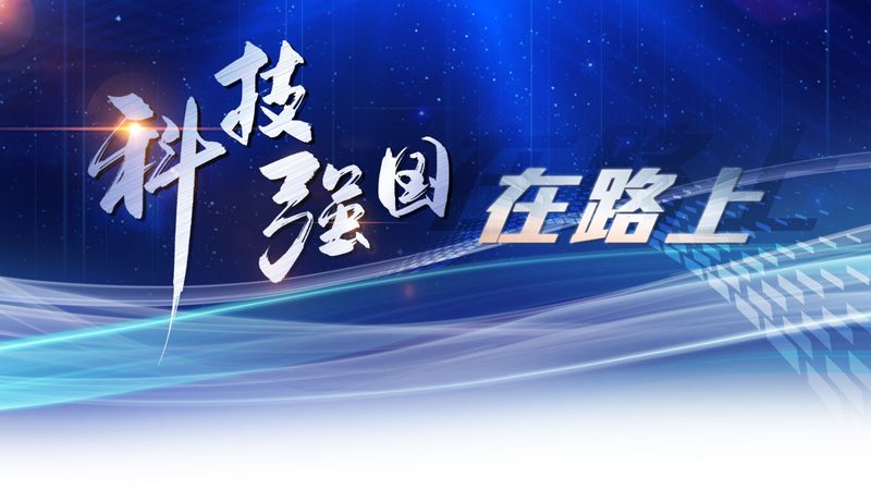 ERP数据迁移定制开发：揭秘企业数字化转型关键一步